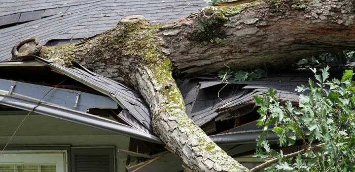 Storm damage documented by BN Exteriors for a Minnesota insurance claim